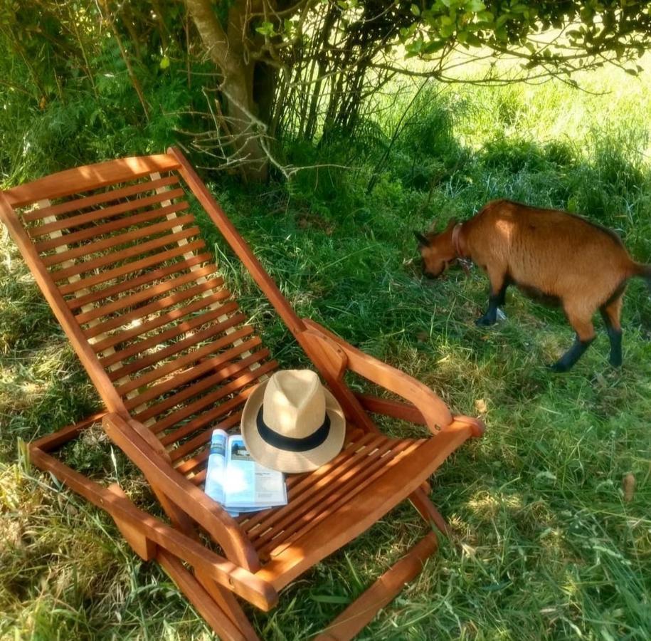 Casa Rural Lineiros Мушия Екстериор снимка